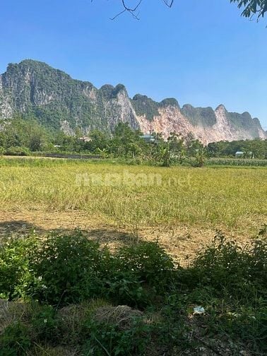 BÁN ĐẤU GIÁ 644M2 ĐẤT TẠI TRẦN PHÚ, CHƯƠNG MỸ, HN