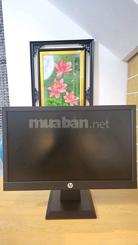 Sale với giá cực sốc Màn hình máy tính HP P19v G4 18.5 inch