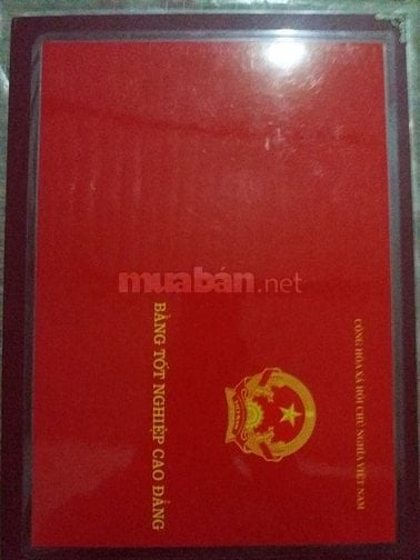 Cần Tìm Việc Làm Thời Vụ Nhận Lương Liền Mỗi Ngày.