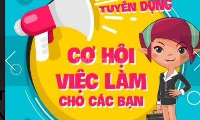 Cần gấp quản lý kho, nhân viên kho cho Chi nhánh mới khai trương 