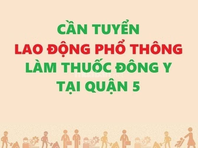 Tuyển GẤP nam lao động phổ thông Cân đo, Đóng gói thuốc Đông Y tại Q5