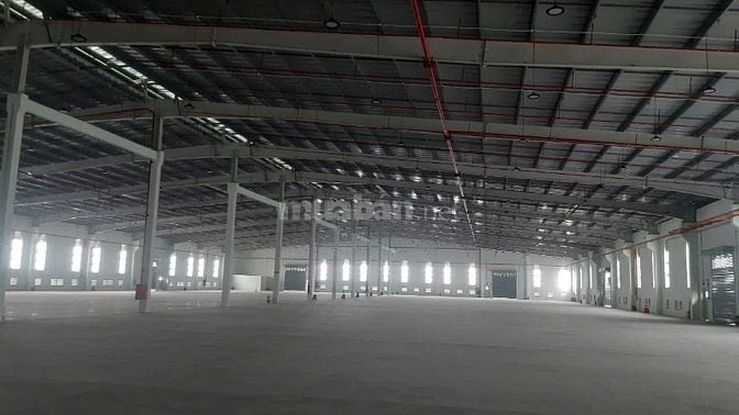 Cho thuê kho xưởng đẳng cấp-Bến Lức, Long An, KV: 19.000m2,X: 12.000m2