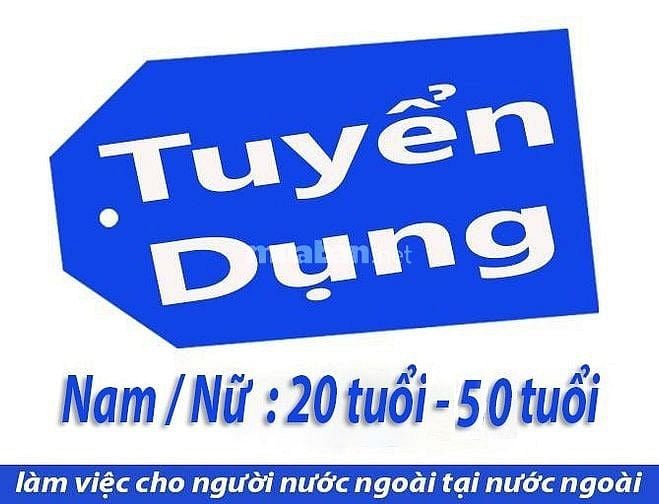 Tuyển nam/nữ (20 - 50 tuổi) làm việc cho người nước ngoài