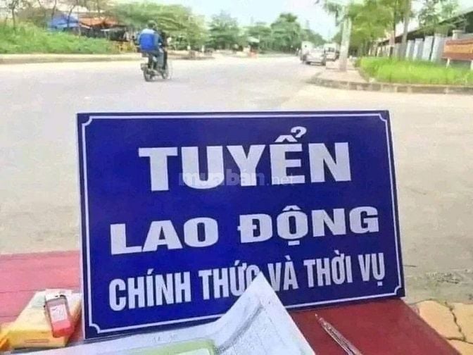 Cửa hàng cần tuyển gấp NV nam/nữ LĐPT, KT kho,  HCNS