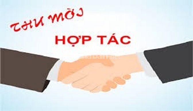 hợp tác với cty/vp cty luật/ du học tại SG cần mở cn tại Hà Nội