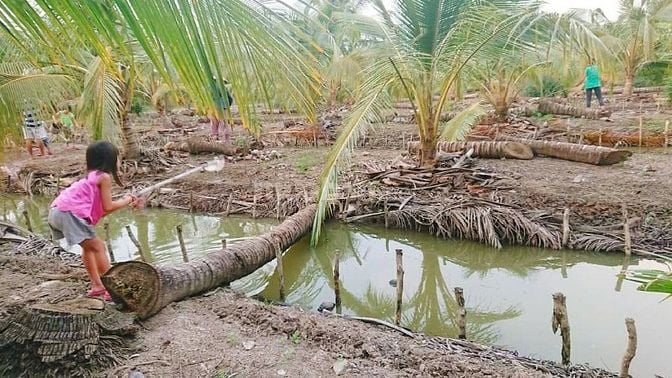 💥Bán 1000m đất nông nghiệp xen kẹt hiếm ở P.4, TP Tân An, sổ đỏ 2ty9