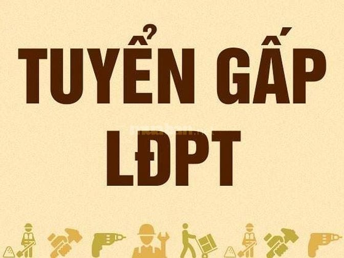 Cần tuyển gấp 2 nam làm vườn dưới 50 tuổi làm tại Hóc Môn