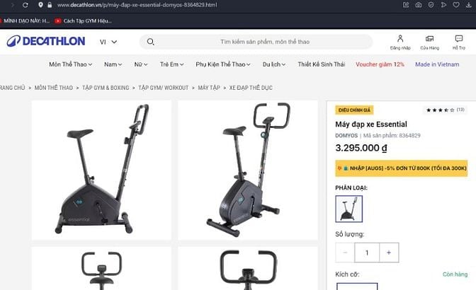 Máy đạp xe Essential Decathlon khung thép 20kg