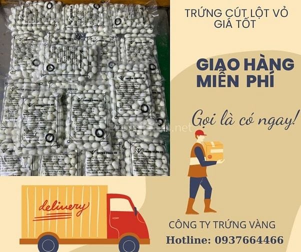 TUYỂN 05 NHÂN VIÊN GIAO HÀNG xe hai bánh QUẬN BÌNH TÂN