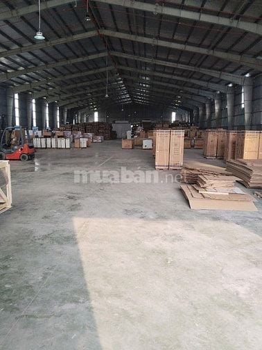 Cho thuê kho diện tích linh hoạt  Quốc Lộ 50, Long An , dt : 3.000m2.