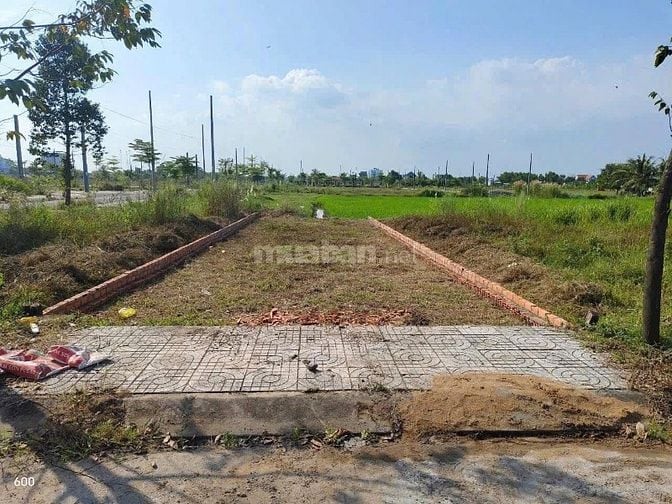 Bán đất nhà xưởng KCN Long Hậu, Long An , dt : 5.000m2 đến 50.000m2