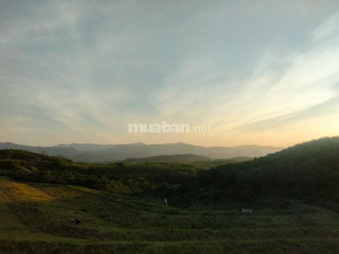 Cần bổ sung người làm việc sau Tết 