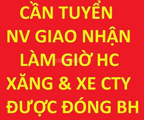 Tuyển 3 NV giao nhận, làm giờ hành chính, Xăng & xe của Công ty