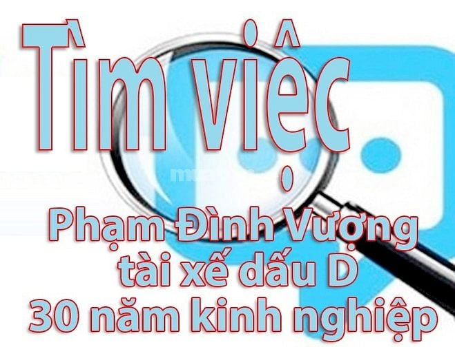 Tìm việc : Phạm Đình Vượng 30 năm kinh nghiệm lái cho giám đốc & Cty