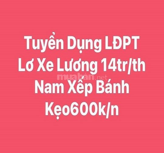 Tuyển Gấp LĐPT Xếp Bánh Kẹo Lương 600k/ngày Lơ Xe Tải Nhẹ 14tr/ Tháng