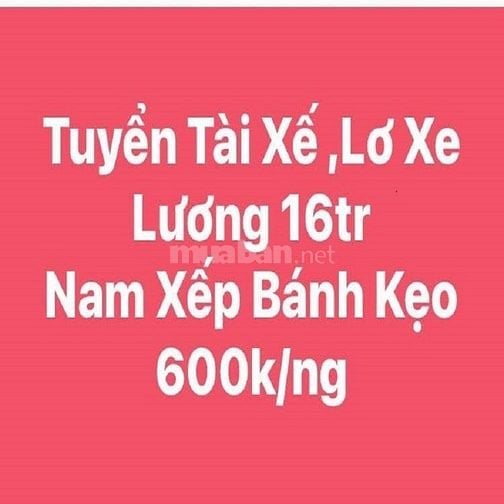 Siêu Thị Bách Hóa Tuyển Nhân Viên Lơ Xe, LĐPT Xếp Bánh Kẹo Lương 18tr