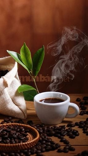 Cần gấp 3 bạn phụ bán cafe, đồ uống 