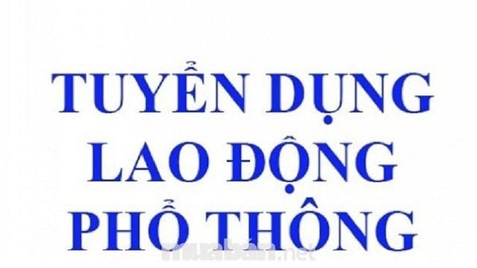 Cần tuyển 2 nữ +1 nam chở hàng+bán hàng+làm hàng, tuổi từ 20-35