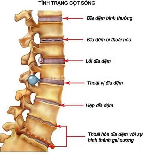 CẦN TUYỂN GẤP 5 NGƯỜI ĐI LÀM NGAY, TẠI NGỌC KHÁNH, Q.BA ĐÌNH, HÀ NỘI.