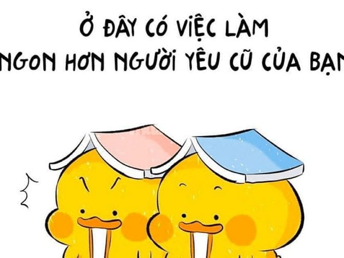 BỔ SUNG NHÂN LỰC PHỤ LÀM SAU TẾT TẠI ĐÀ NẴNG