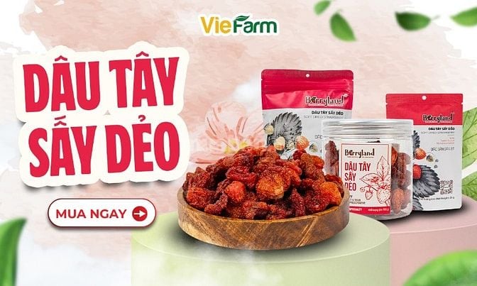 Dâu Tây Sấy Dẻo Berryland – Món Ăn Vặt Lành Mạnh, Thơm Ngon Từ Viefarm