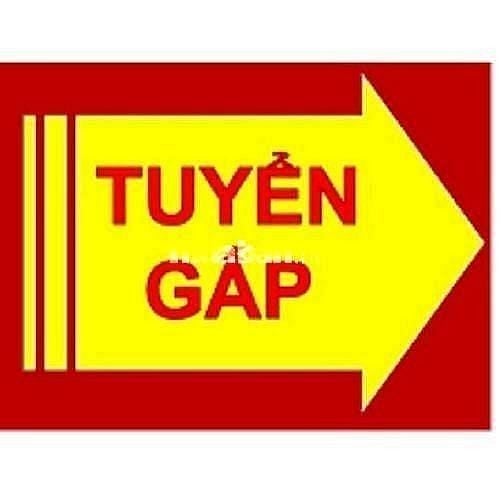  QUẬN 6 : TUYỂN 03 NV NAM/NỮ PHỤ LÀM VIỆC ,ƯU TIÊN NGƯỜI THẤT NGHIỆP 