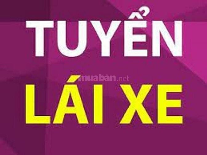 Cần tuyển tài xế B2 và phụ xe làm tại khu vực Quận 12