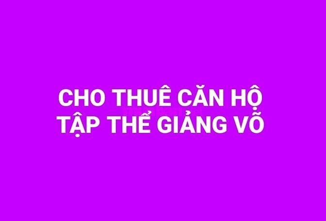 Cho thuê căn hộ tập thể phố Giảng Võ Ba Đình, 2 ngủ