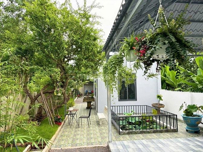 Bán nhà vườn 223m2, MT nhựa, SHR, Tân Thông Hội, Củ Chi, Giá 1 tỷ 150.