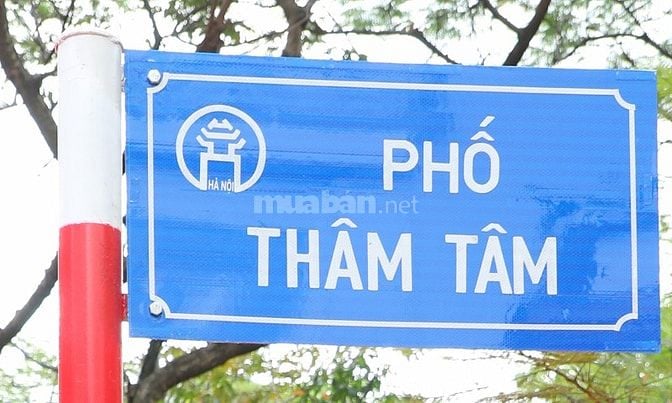 Cho thuê làm văn phòng hoặc để ở nhà mặt phố Thâm Tâm, Cầu Giấy