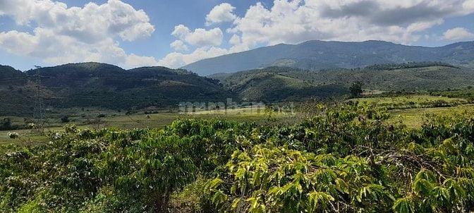 Bán đất rẫy giáp ruộng .... đất đẹp, view đẹp ...