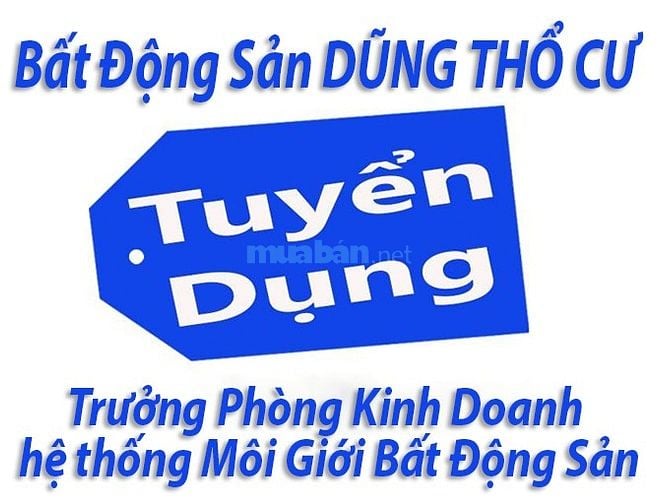 Tuyển Dụng Trưởng Phòng Kinh Doanh Hệ Thống Môi Giới BĐS tại Sài Gòn