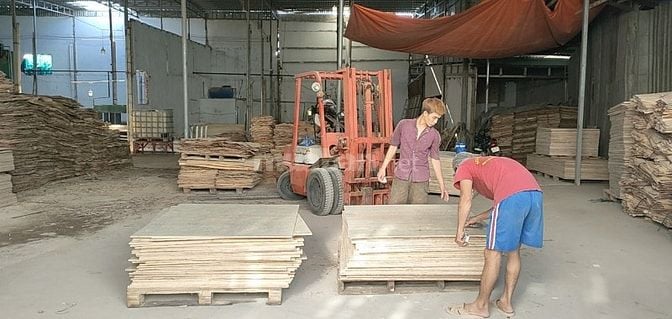 Cần tuyển GẤP NAM LĐPT làm ván ép