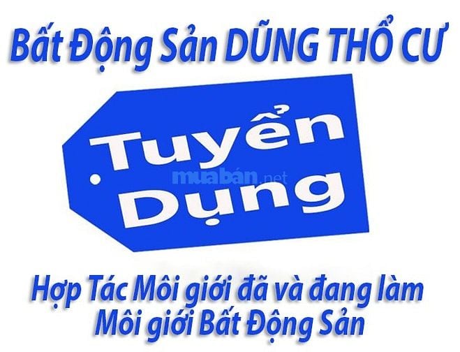 Hợp Tác Môi giới đã và đang làm Môi giới Bất Động Sản