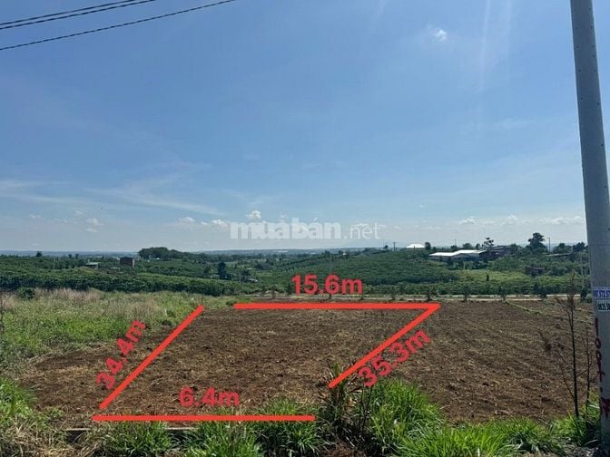 Công ty Đấu giá hợp danh Lam Sơn Sài Gòn THÔNG BÁO ĐẤU GIÁ TÀI SẢN