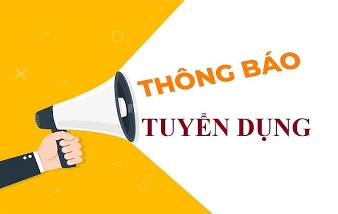 CÔNG TY TNHH PHÁT TRIỂN THƯƠNG MẠI VIỆT NHẬT TUYỂN DỤNG NHÂN SỰ