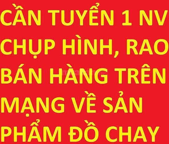 TUYỂN NV LÀM TRÊN MÁY TÍNH CHỤP HÌNH, RAO BÁN TRÊN MẠNG VỀ ĐỒ CHAY