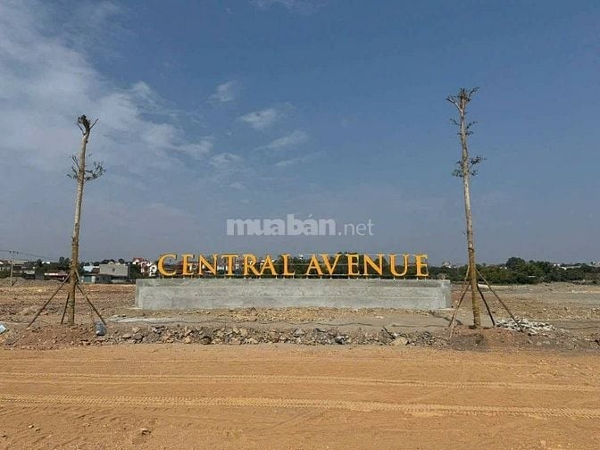 Đất Nền Dự Án Central Avenue Lục Nam- Bắc Giang - Sẵn sổ Đỏ