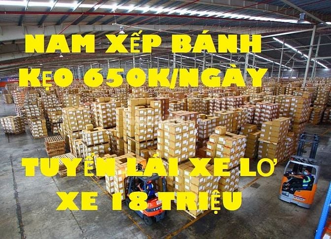 TUYỂN LÁI XE TẢI B2 C D BÁNH KẸO SIÊU THỊ LƠ XE XẾP BÁNH KẸO 20 TRIỆU