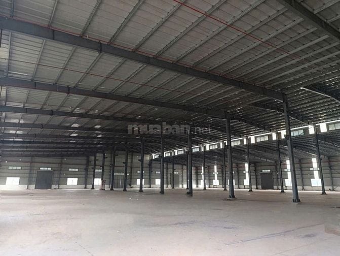 Cho thuê kho xường khu công nghiệp Cát Lái, Thủ Đức, 4000m2, giá rẻ