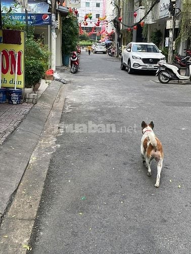 BÁN NHÀ MẶT TIỀN ĐƯỜNG ĐẶNG THAI MAI, PHÚ NHUẬN 