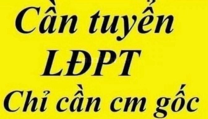  KHO TÂN BÌNH ĐANG CẦN TUYỂN NGƯỜI LÀM ƯU TIÊN NỮ VÀ NGƯỜI LỚN TUỔI