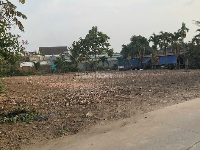 Cho thuê đất 1000m² tại An Phú Đông, Quận 12 – Đường rộng, giá 14triệu