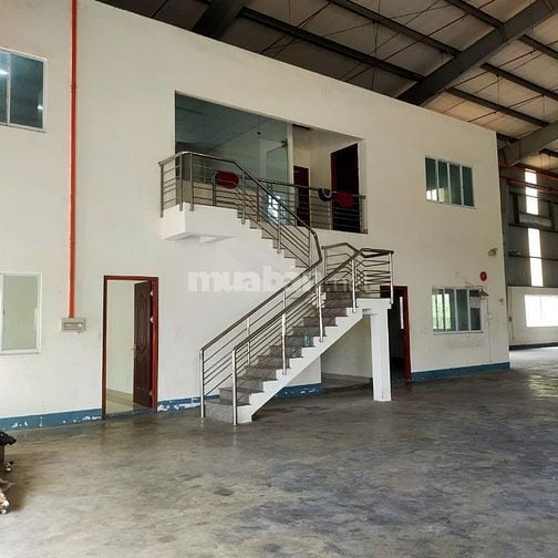 Cho thuê kho xưởng 5.000m2 - 10.000m2, KV: 30.000m2 Bến Lức , Long An