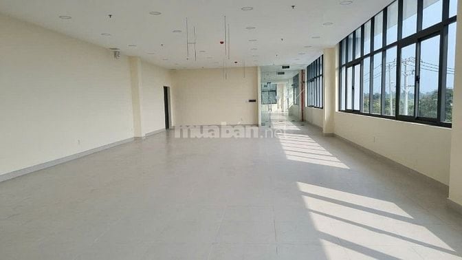 Cho thuê kho xưởng 16.000m2 KCN Tân Đức – Tân Đô – Hải Sơn, Long An 