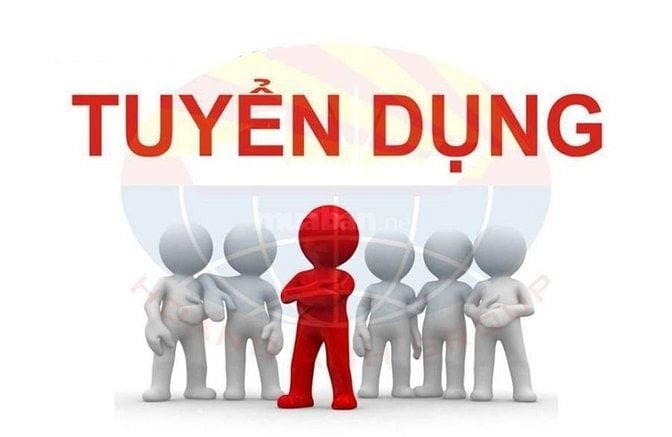 Công ty Bánh kẹo Vĩnh Phú cần tuyển 2 nhân sự hỗ trợ giao hàng xe máy