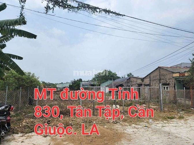 Bán, 1140 có 600m2 thổ, 2MT830, Tân Tập, Cần Giuộc, LA