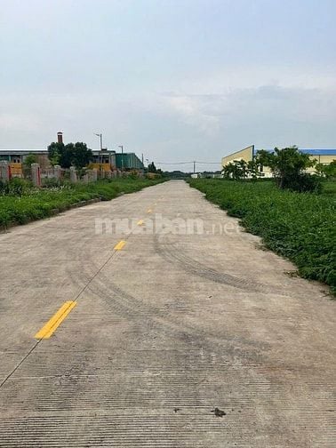 Cho thuê xưởng mới xây theo yêu cầu – DT:5.000m2 đến 12.000m2 –giá tôt