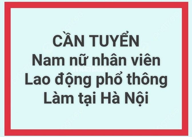 Tuyển nam hoặc nữ nhân viên người Hà Nội, làm việc từ 7h đến 17h