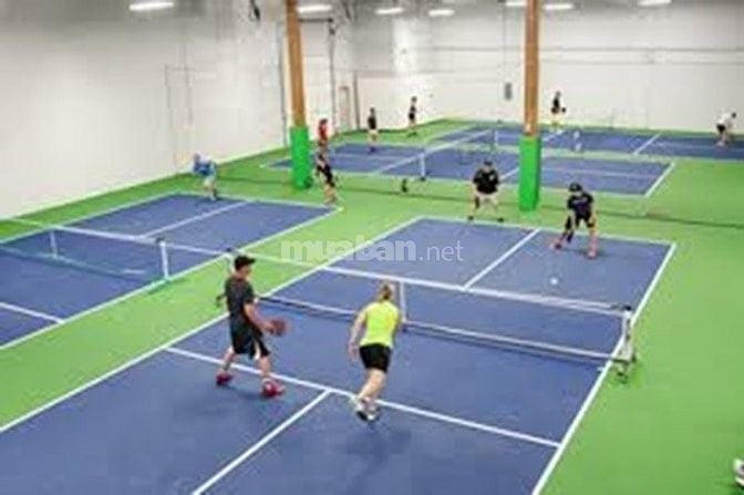 trụ lưới pickleball bán trụ pickleball, lắp đặt trụ pickleball